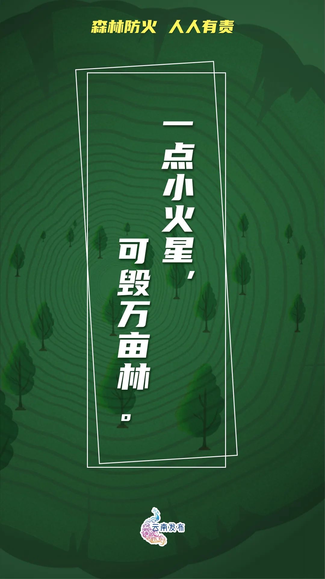 918云南交通台(微信)