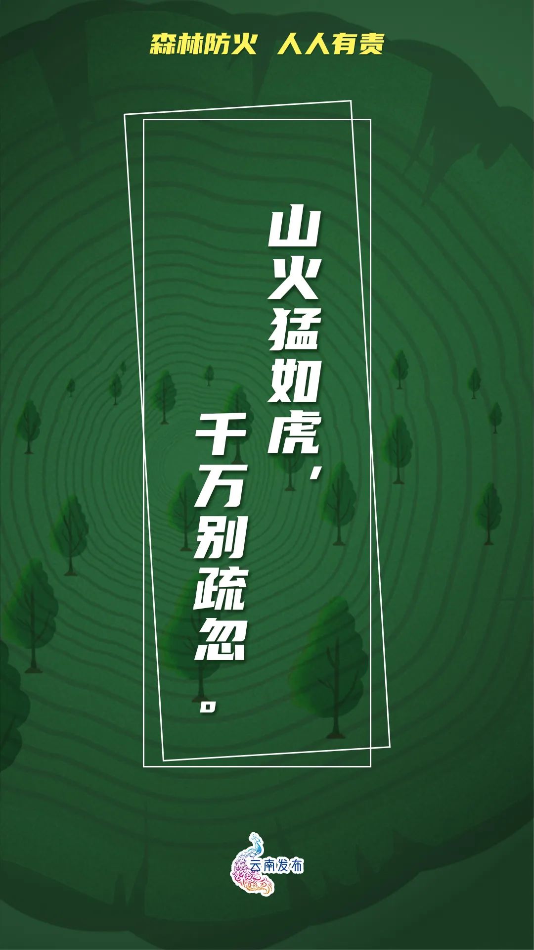 918云南交通台(微信)