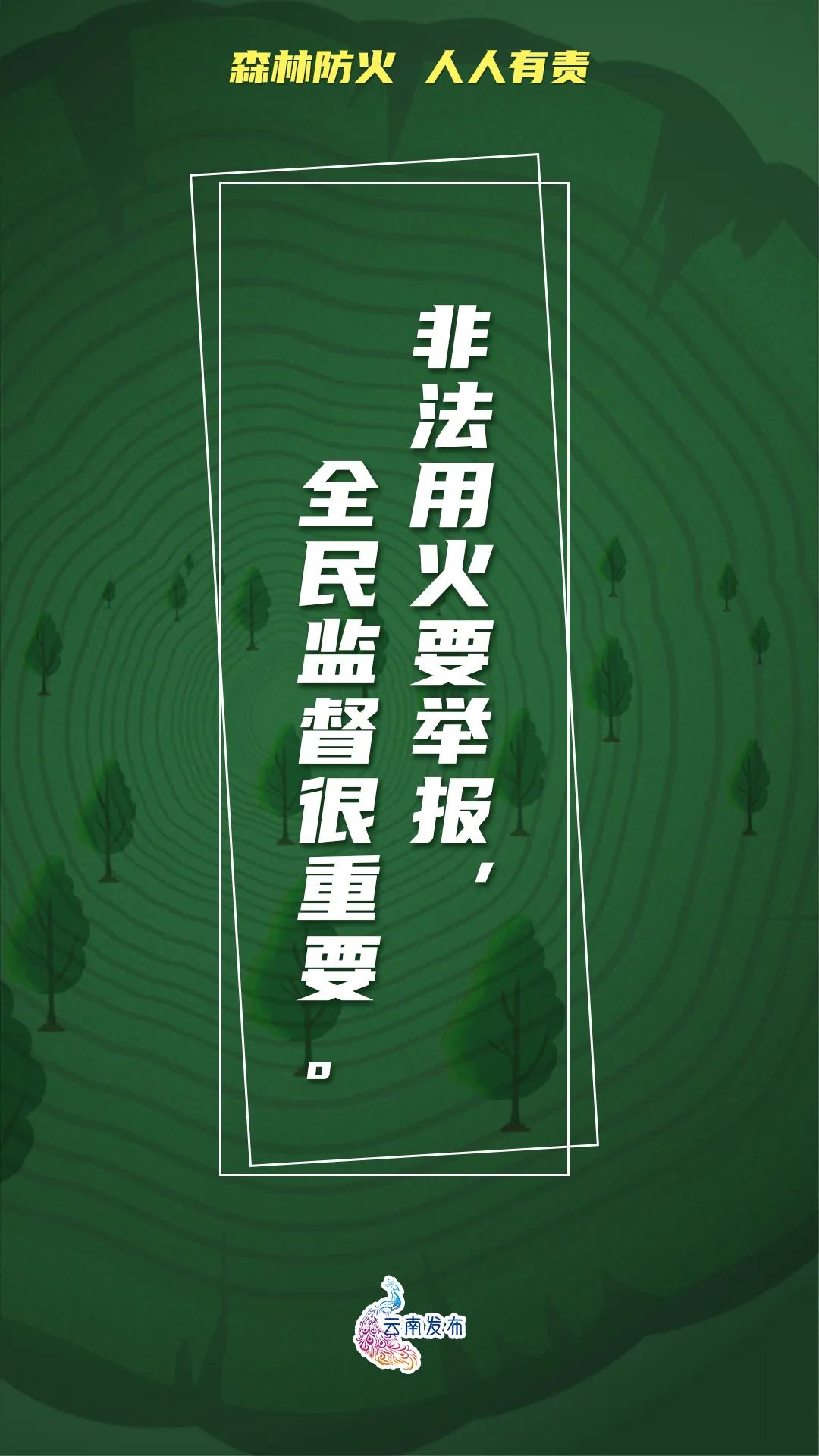 918云南交通台(微信)