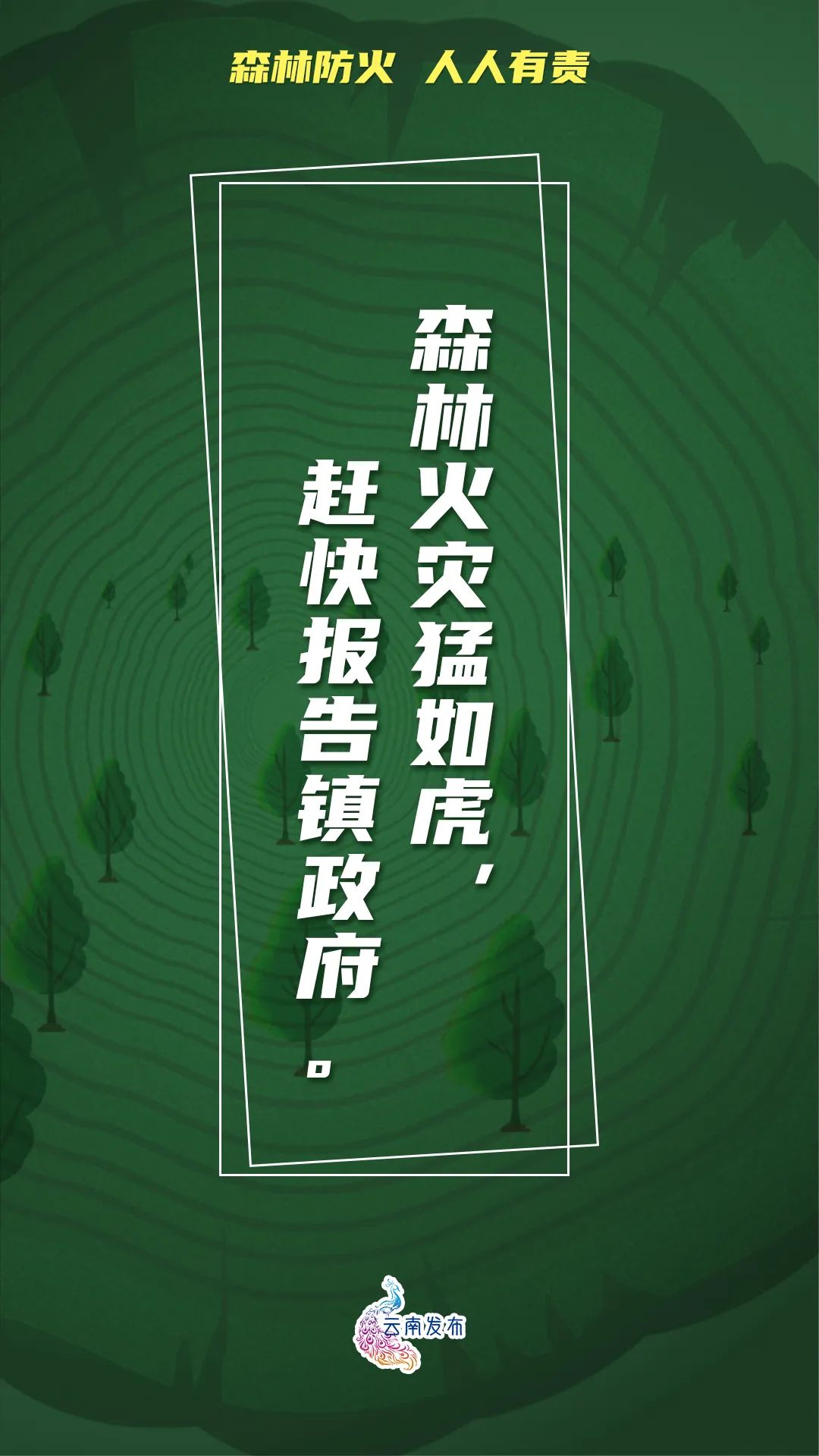 918云南交通台(微信)