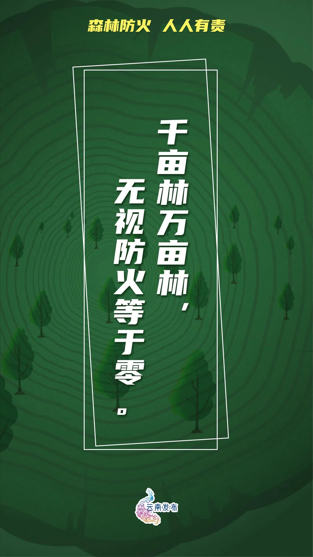 918云南交通台(微信)