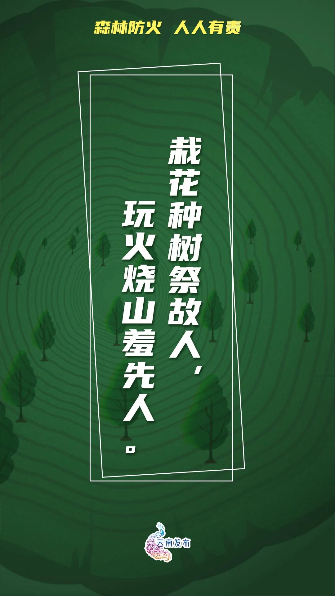 918云南交通台(微信)