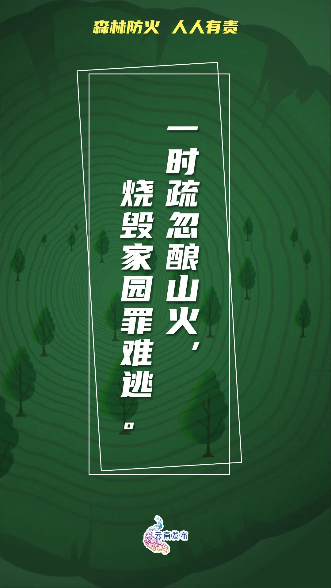 918云南交通台(微信)