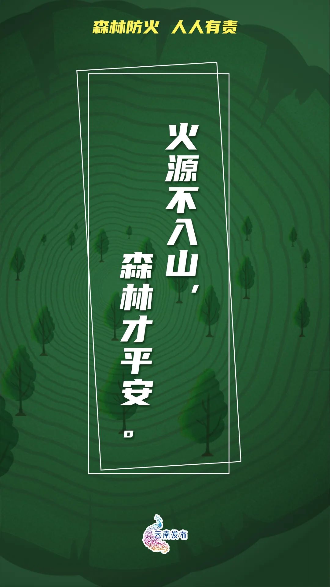 918云南交通台(微信)