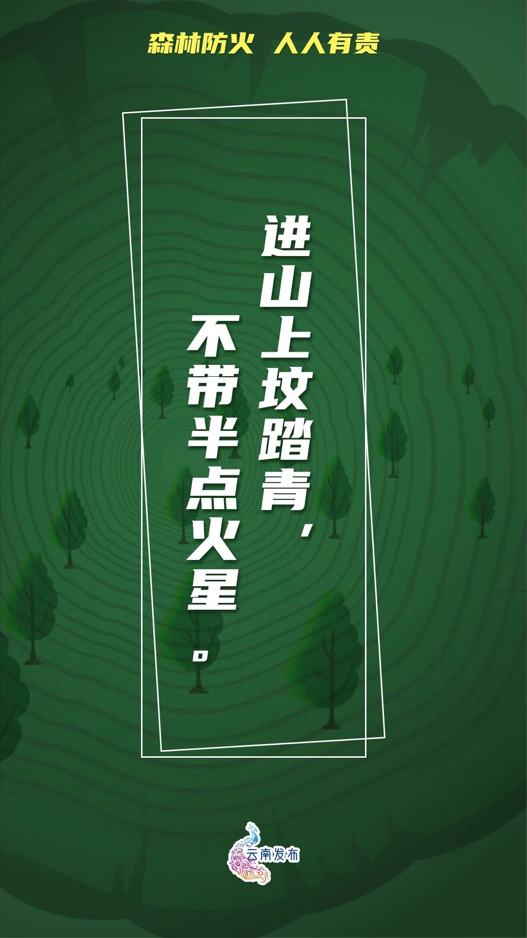 918云南交通台(微信)