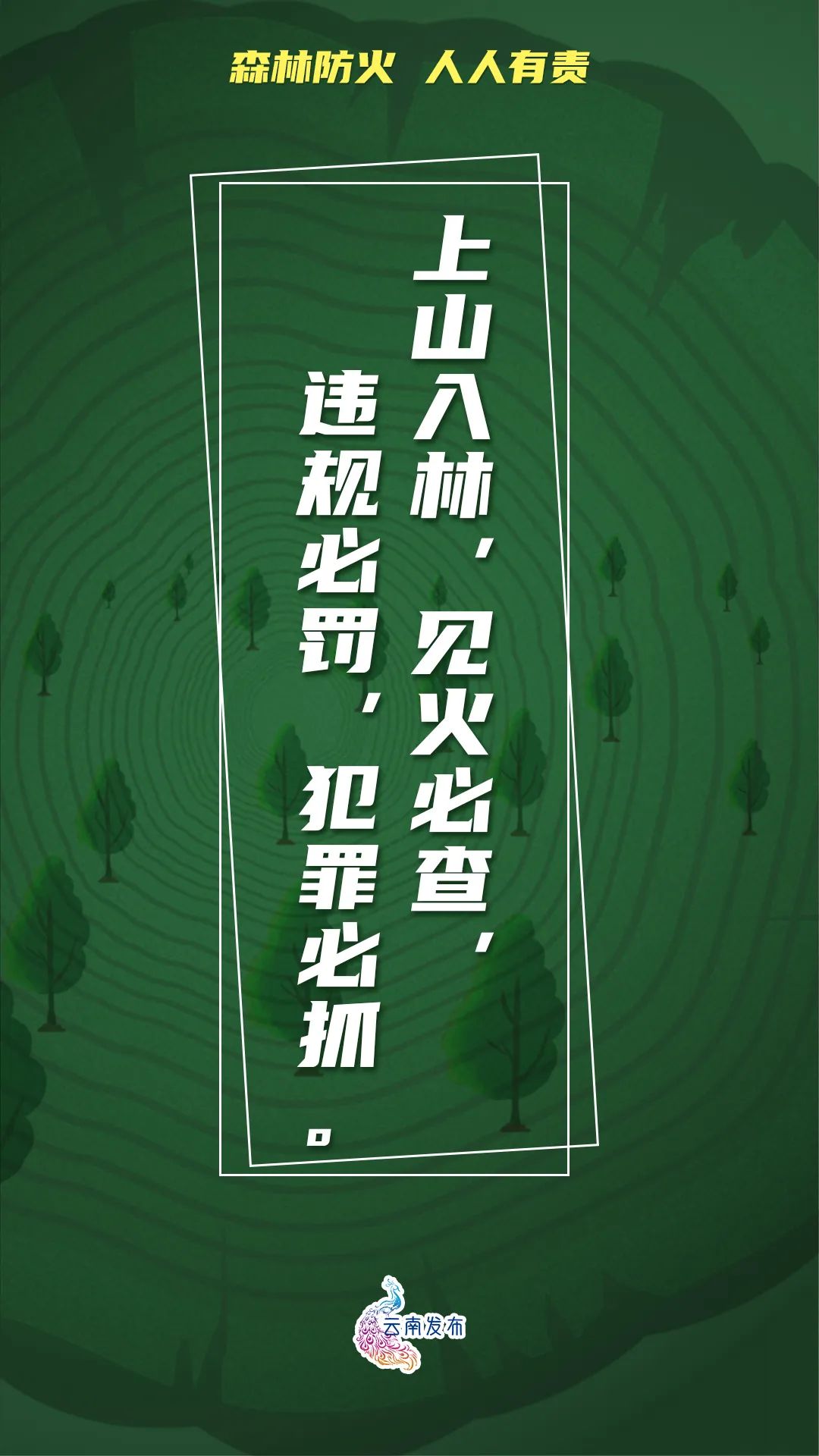 918云南交通台(微信)