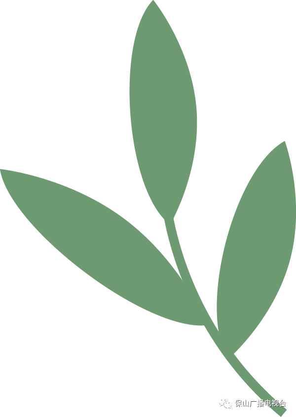 保山广播电视台(微信)