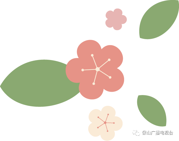 保山广播电视台(微信)