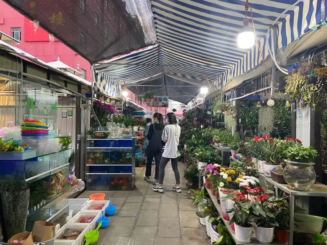 文明昆明(微信)