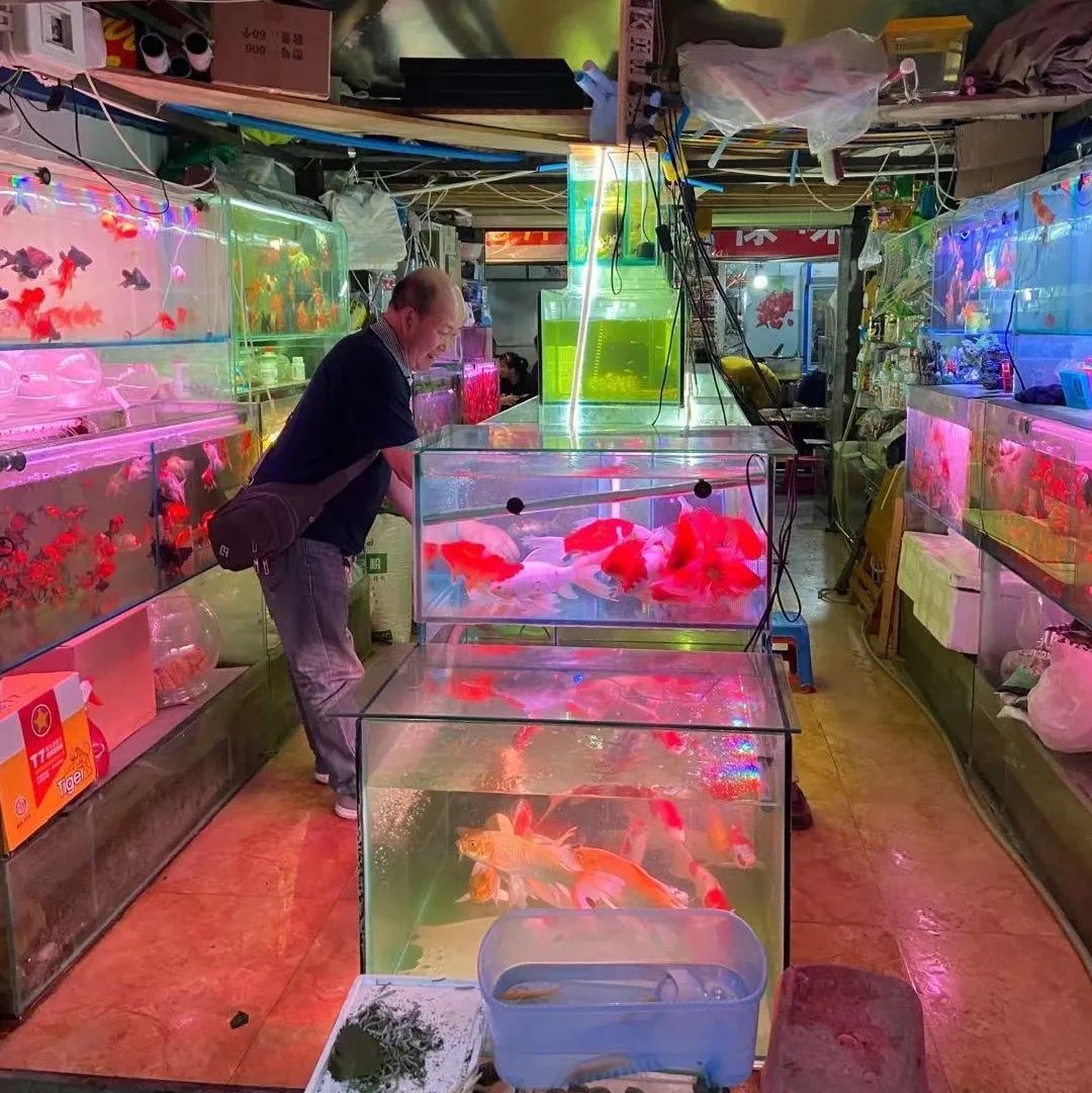 文明昆明(微信)