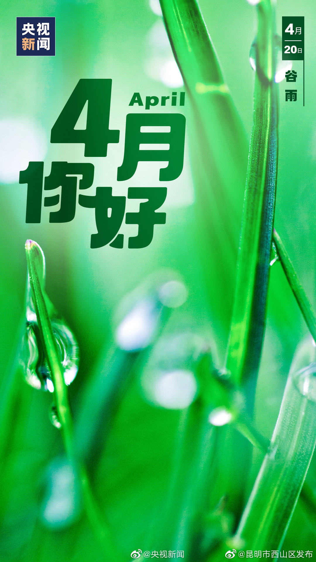 “昆明市西山区发布”微博