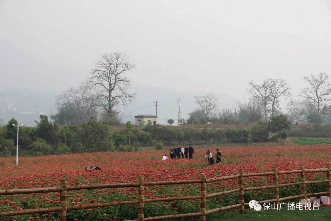 保山广播电视台(微信)