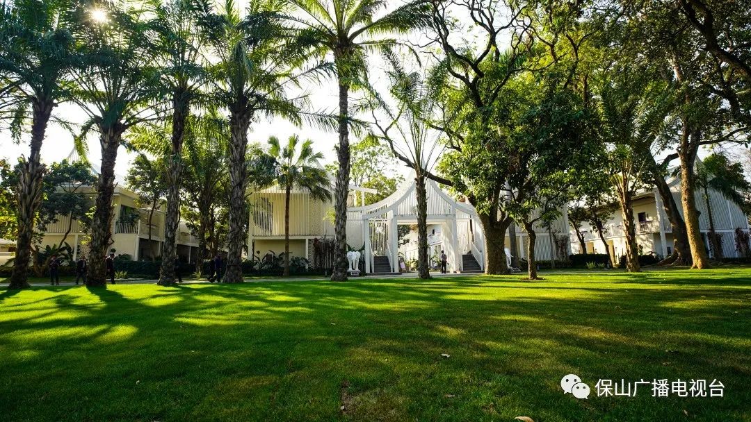 保山广播电视台(微信)