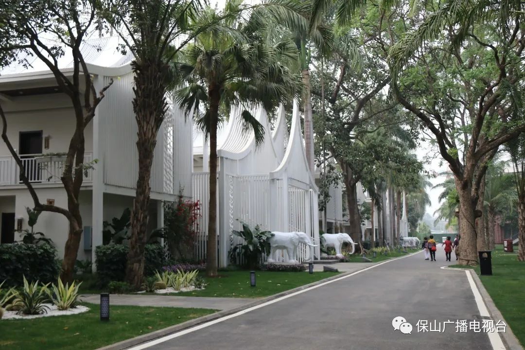 保山广播电视台(微信)