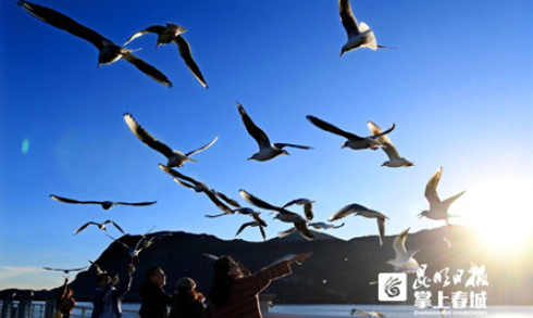 文明昆明(微信)