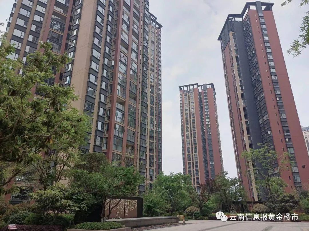 云南信息报(微信)