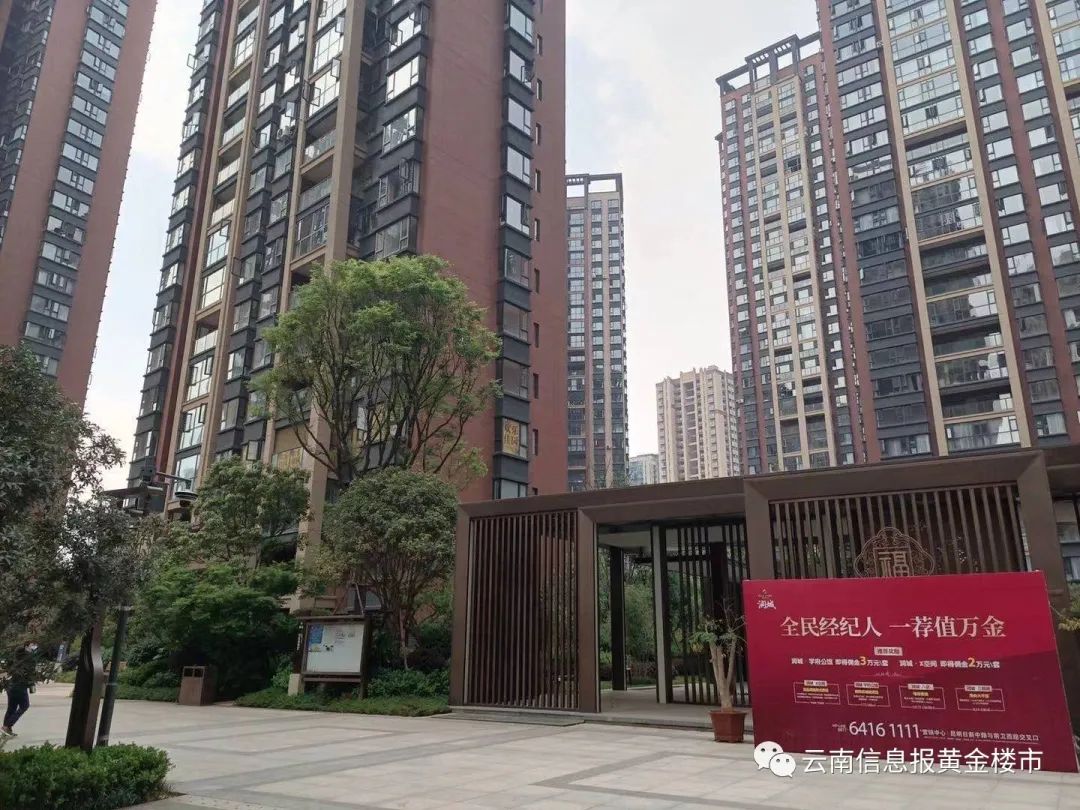 云南信息报(微信)