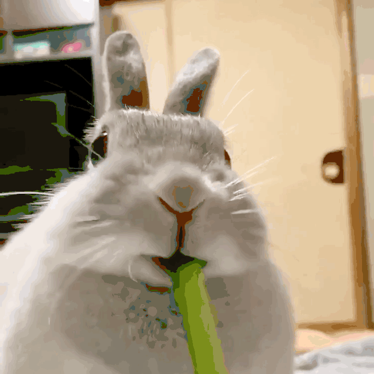 “昆明市西山区发布”微博