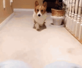 “昆明市西山区发布”微博