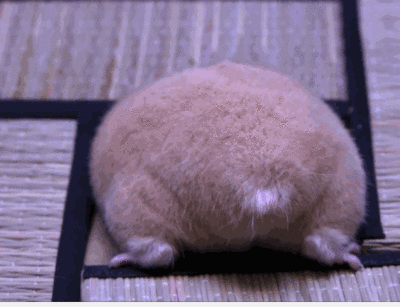 “昆明市西山区发布”微博