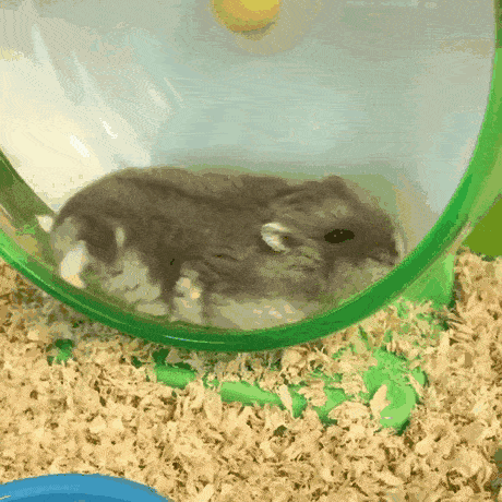 “昆明市西山区发布”微博