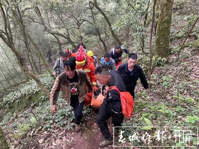 春城晚报(微信)