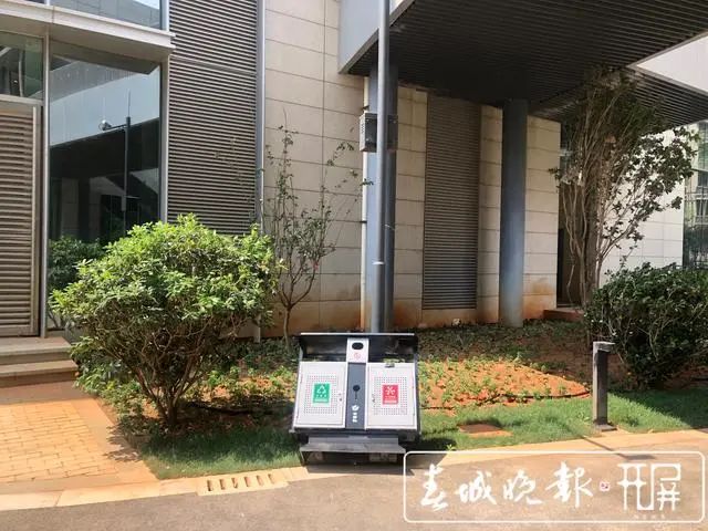 春城晚报(微信)