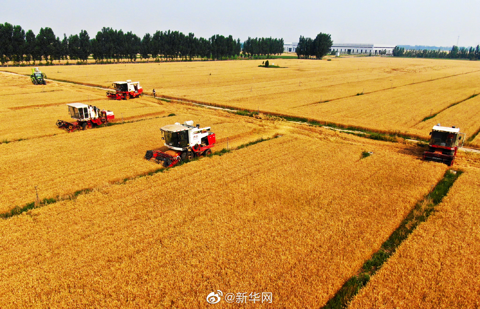 我国粮食储备可保无虞