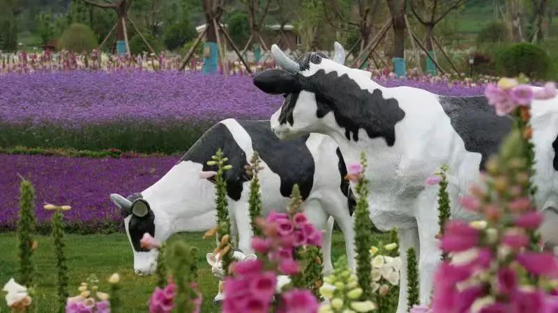 红河文旅(微信)
