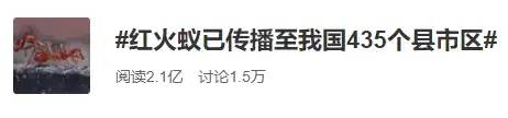大理日报(微信)