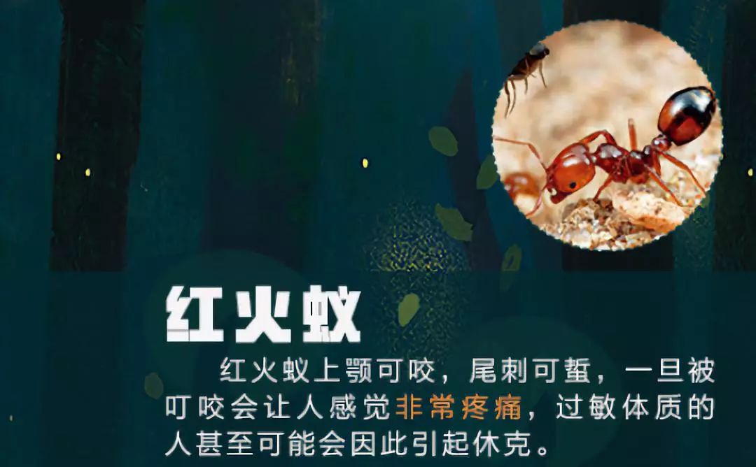 大理日报(微信)