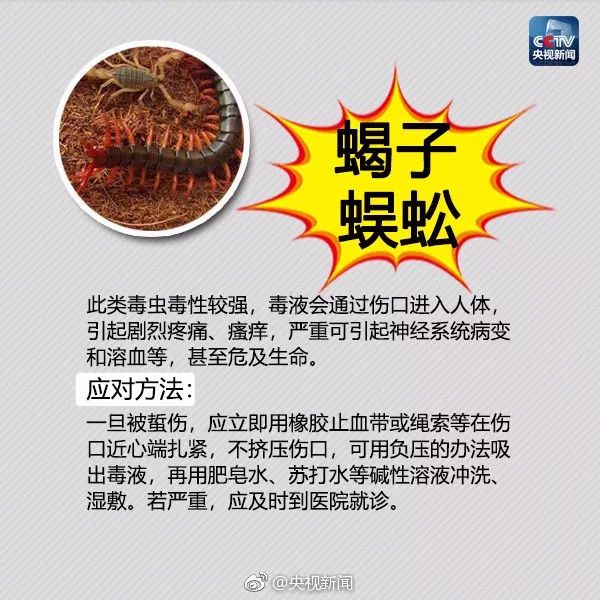 大理日报(微信)