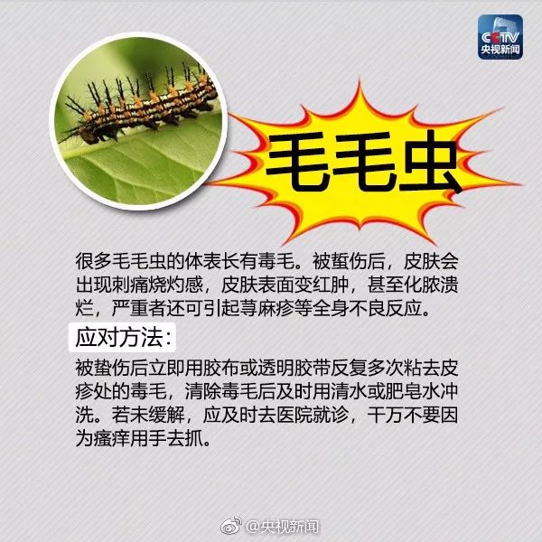 大理日报(微信)