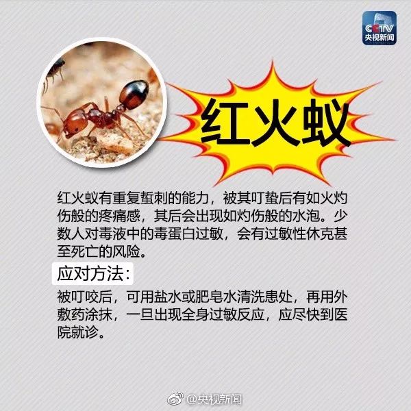 大理日报(微信)