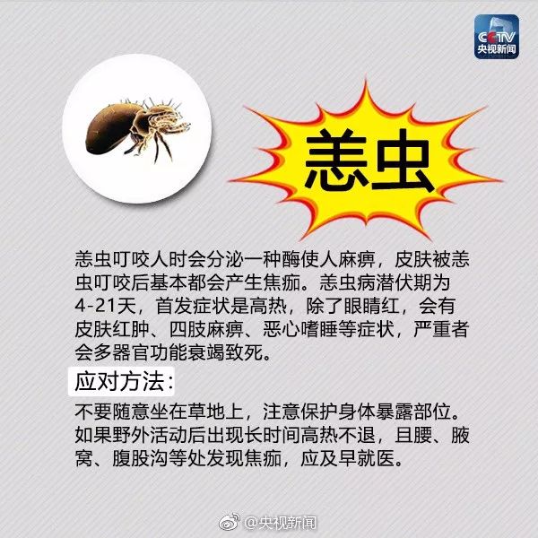 大理日报(微信)