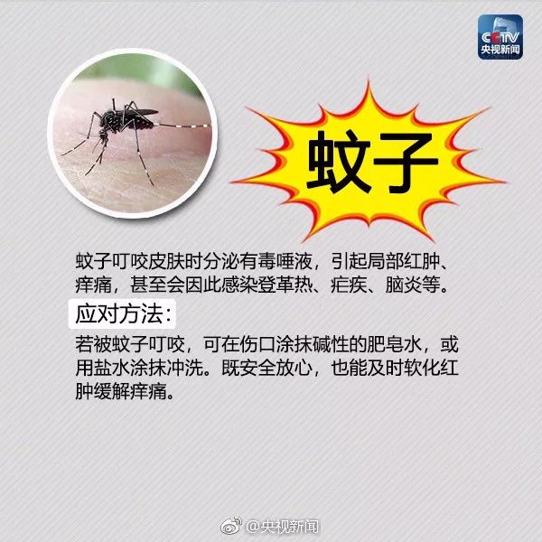 大理日报(微信)