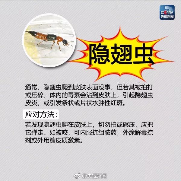 大理日报(微信)