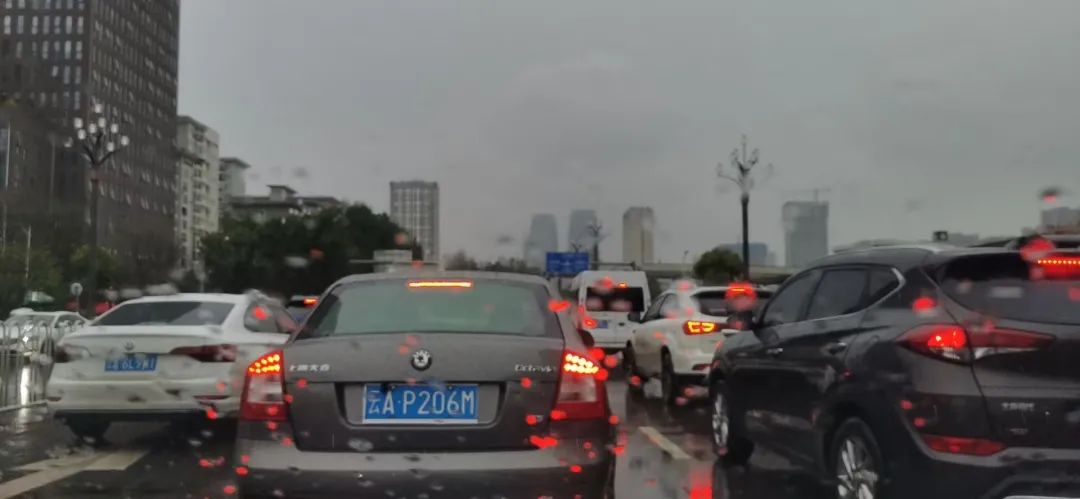 掌上春城(微信)