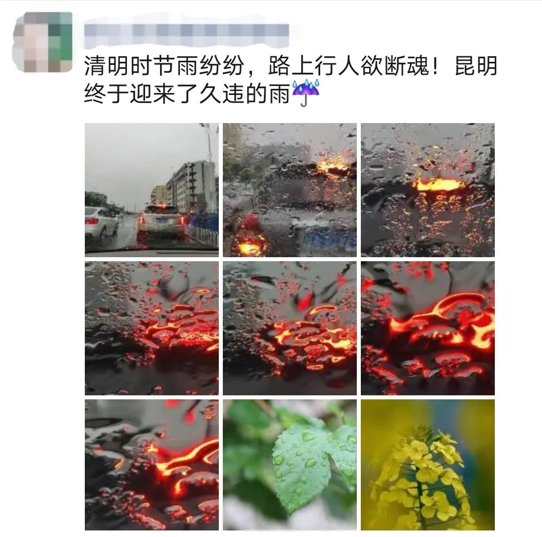 掌上春城(微信)
