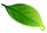 文明昆明(微信)