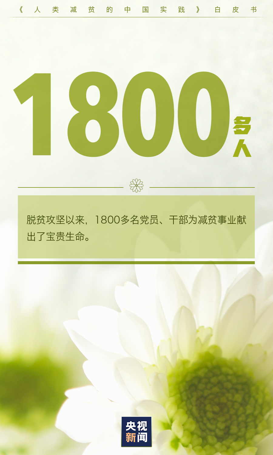 盘龙统战(微信)