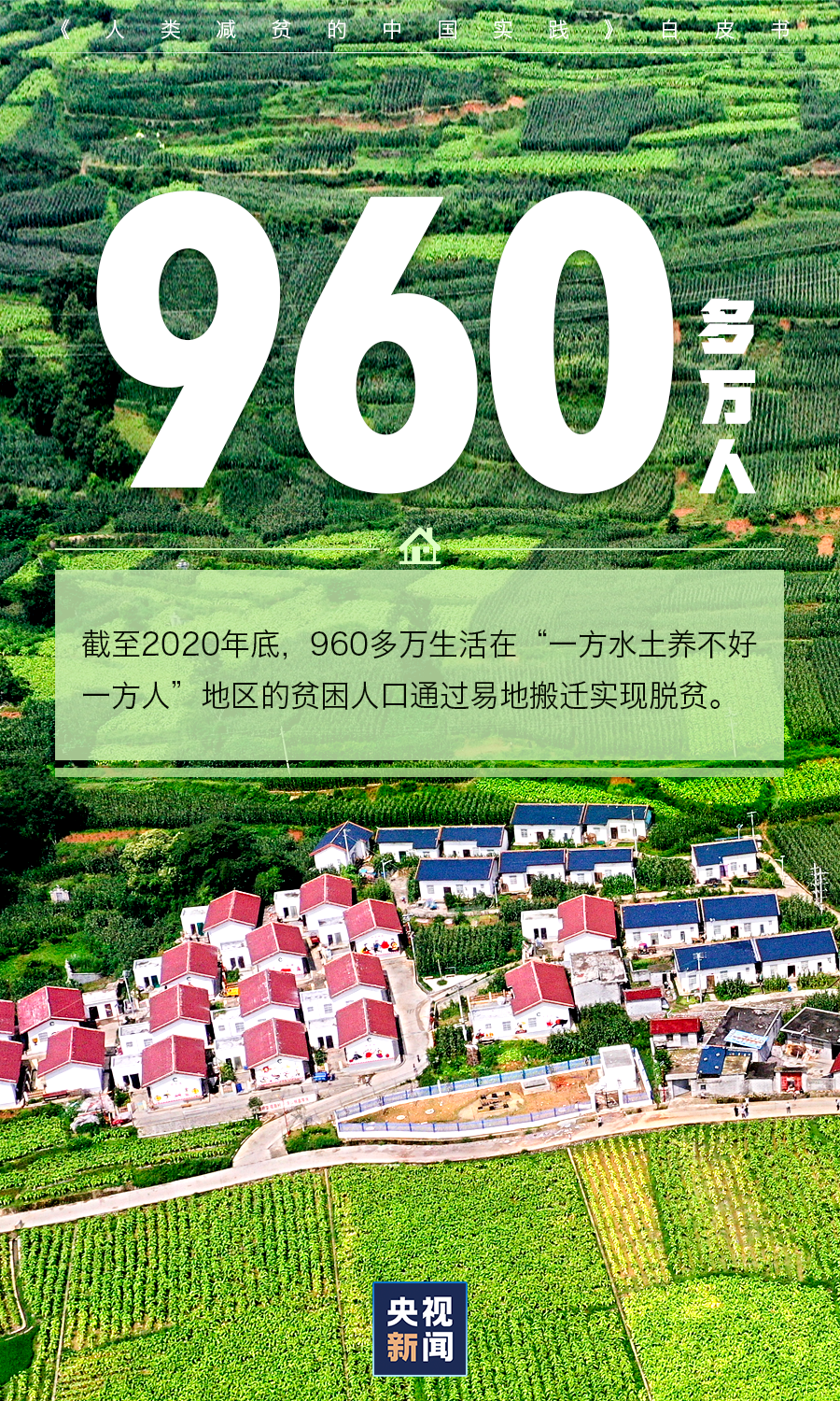 盘龙统战(微信)
