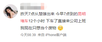 掌上春城(微信)