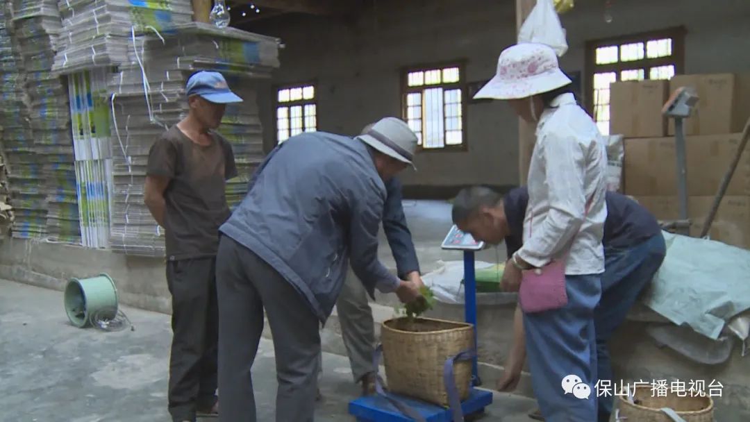 保山广播电视台(微信)