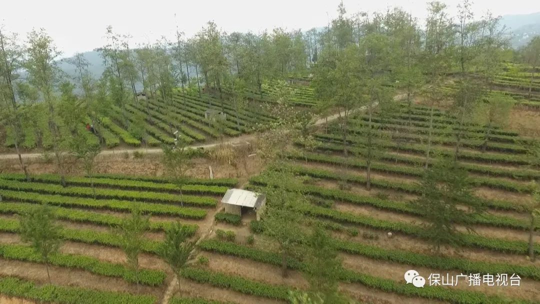 保山广播电视台(微信)