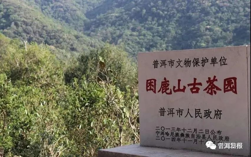 普洱日报(微信)