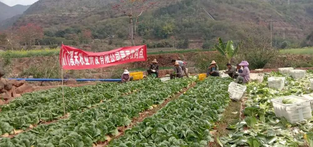 玉溪发布(微信)