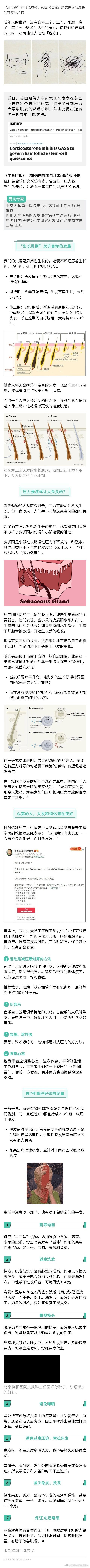 “压力秃”有可能逆转，英国《自然》杂志揭秘毛囊是怎样被压垮的