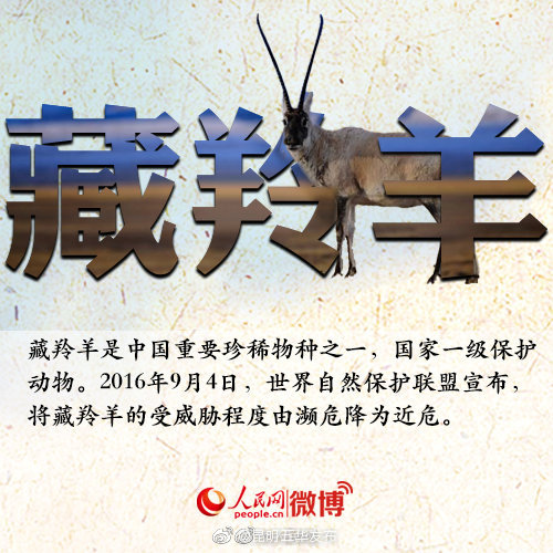 “昆明五华发布”微博