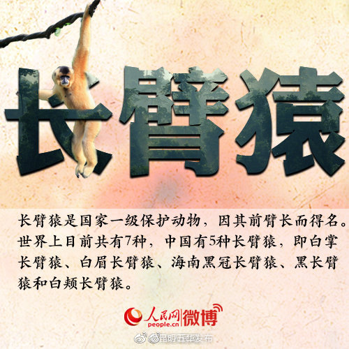 “昆明五华发布”微博